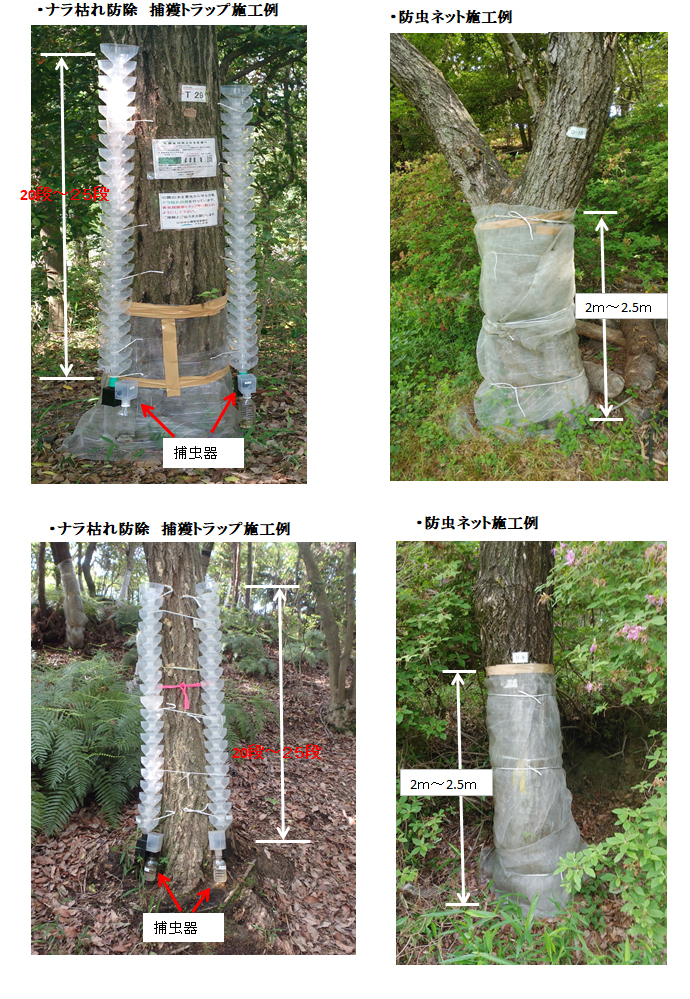 ナラ枯れ防除トラップ
